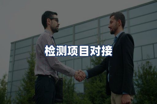 检测项目对接